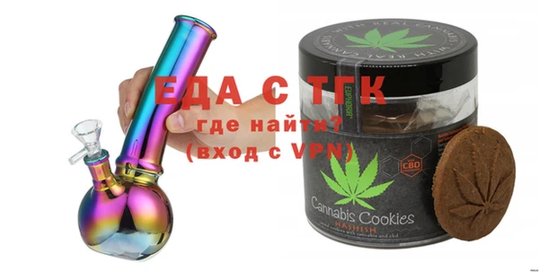 индика Кинешма