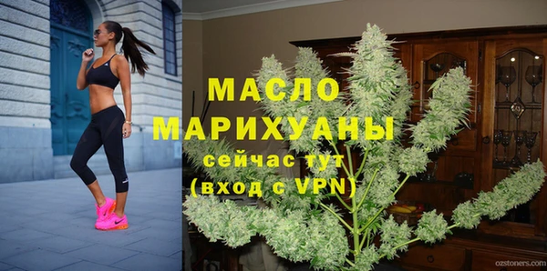 индика Кинешма