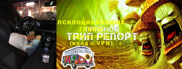 индика Кинешма