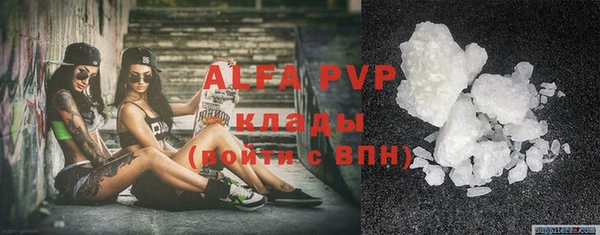 индика Кинешма