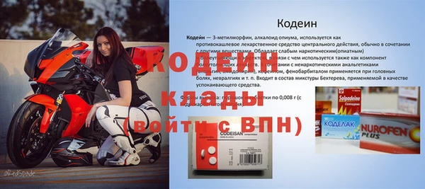 индика Кинешма