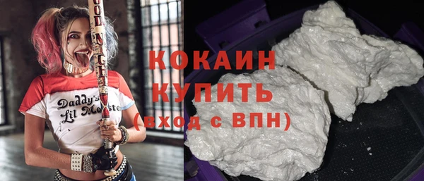 индика Кинешма