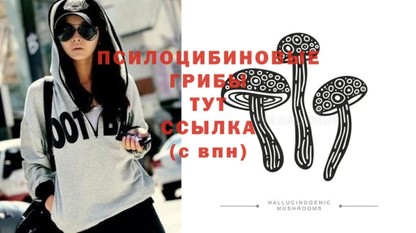 не бодяженный Киренск