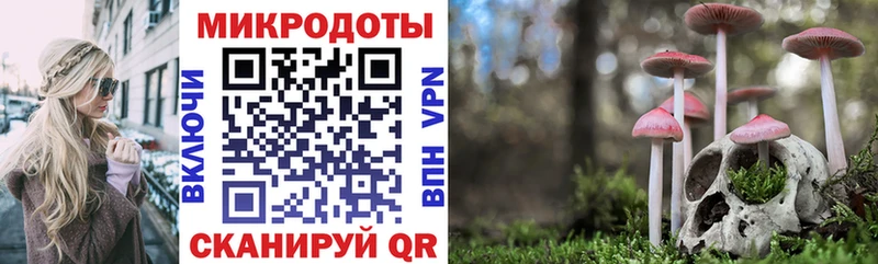 Галлюциногенные грибы Magic Shrooms  blacksprut онион  Кохма 